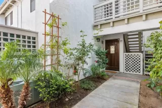 Photo #1: NDP2503790 Listing