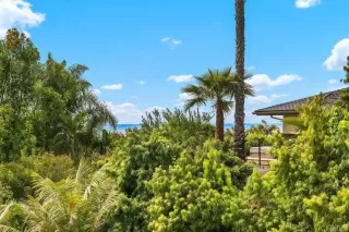 Photo #1: NDP2503795 Listing