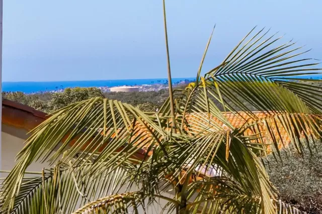 MLS: NDP2503835 Condo For Sale