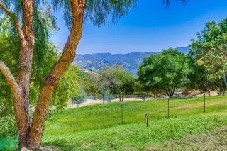 Photo #3: NDP2503849 Listing