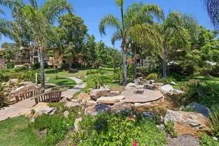 Photo #2: NDP2504038 Listing 