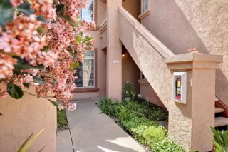 Photo #1: NDP2504056 Listing