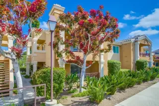 Photo #2: NDP2504324 Listing 