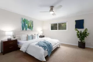 Photo #1: NDP2504460 Listing