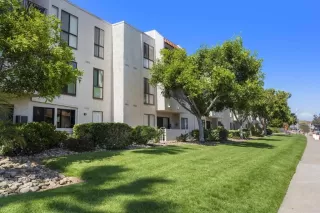 Photo #1: NDP2504737 Listing