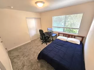 Photo #5: NDP2504916 Listing 