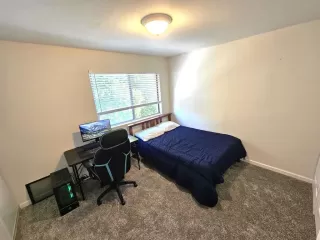 Photo #6: NDP2504916 Listing 