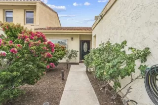 Photo #1: NDP2504943 Listing 