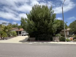 Photo #1: NDP2505036 Listing