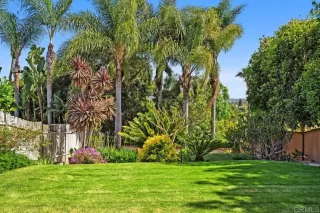 Photo #2: NDP2505131 Listing