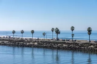 Photo #1: NDP2505529 Listing 