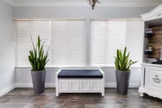 Photo #6: NDP2505647 Listing