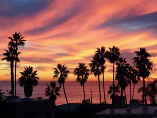 Photo #1: NDP2505764 Listing