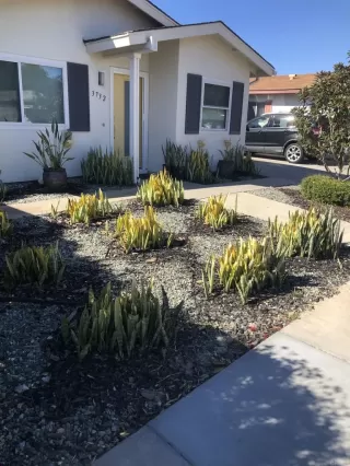 Photo #2: NDP2505948 Listing 