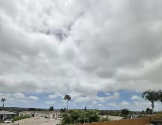 Photo #4: NDP2505948 Listing 