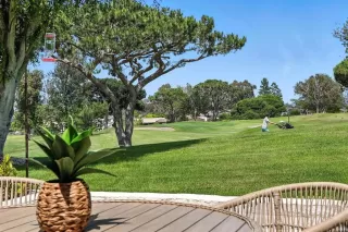 Photo #1: NDP2506097 Listing 