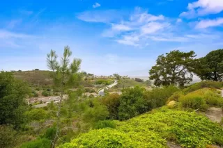 Photo #1: NDP2506316 Listing