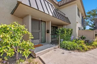 Photo #1: NDP2506397 Listing