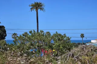 Photo #6: NDP2506440 Listing