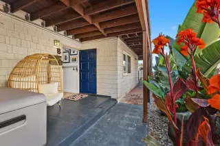 Photo #1: NDP2506442 Listing