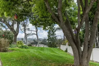 Photo #3: NDP2506513 Listing