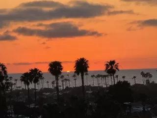 Photo #1: NDP2506624 Listing 