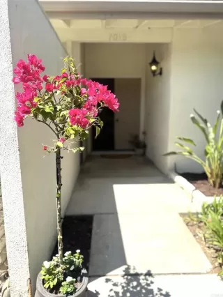 Photo #4: NDP2506696 Listing