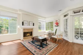 Photo #1: NDP2506726 Listing