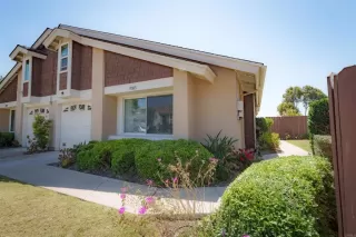 Photo #1: NDP2506727 Listing