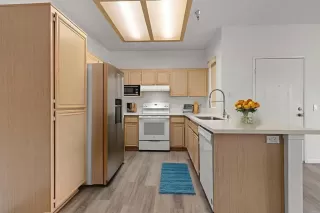 Photo #5: NDP2507137 Listing