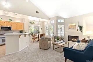 More Details about MLS # NDP2507169 : 12676 SPRINGBROOK DRIVE UNIT B