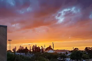 Photo #5: NDP2507626 Listing