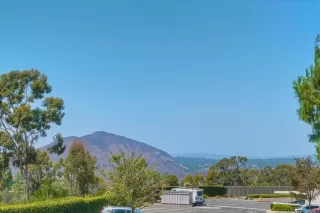 Photo #2: NDP2507963 Listing