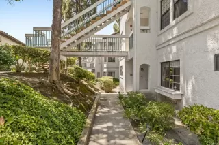 Photo #2: NDP2508385 Listing