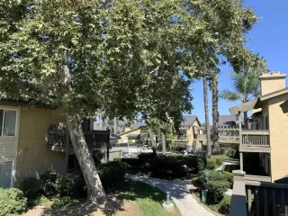 Photo #2: NDP2508481 Listing