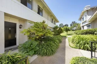 Photo #1: NDP2508668 Listing