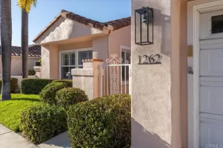 Photo #6: NDP2508674 Listing