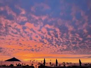 Photo #5: NDP2508684 Listing