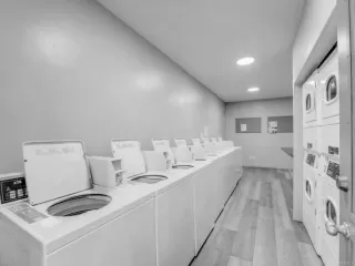 Photo #1: NDP2508727 Listing