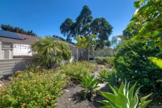 Photo #3: NDP2508926 Listing 