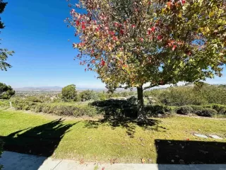 Photo #1: NDP2509046 Listing