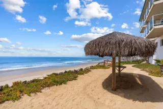 Photo #1: NDP2509146 Listing 