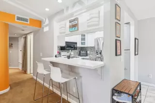 Photo #1: NDP2509652 Listing 