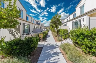 Photo #1: NDP2509691 Listing 