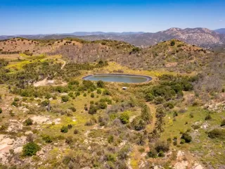 Primary Photo for MLS#: NDP2509743