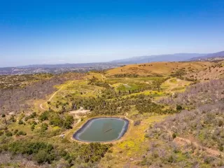 Photo #1: NDP2509743 Listing