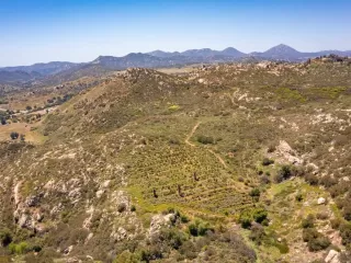 Photo #5: NDP2509743 Listing