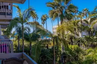 Photo #3: NDP2509765 Listing 