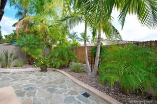 Photo #3: NDP2509969 Listing 