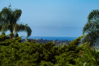 Photo #1: NDP2510278 Listing